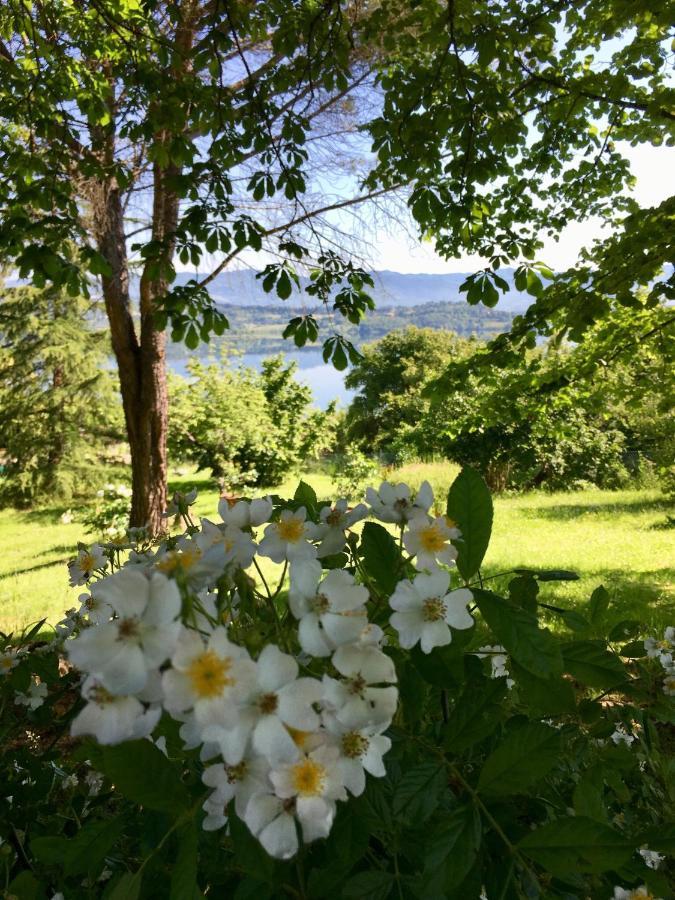 Villa Del Lago Barberino di Mugello Dış mekan fotoğraf